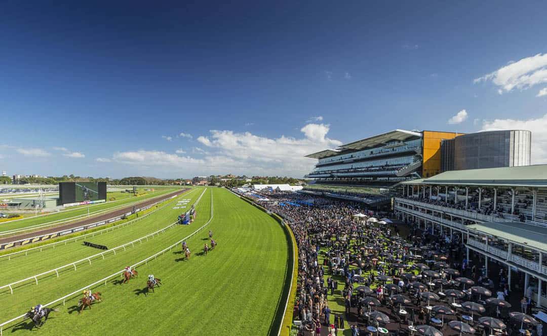 Gate 1 Randwick Racecourse (Updated for 2023)